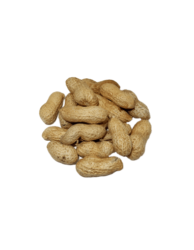 CACAHUETE SAL GORDA 220G